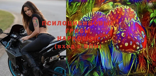 бошки Алзамай