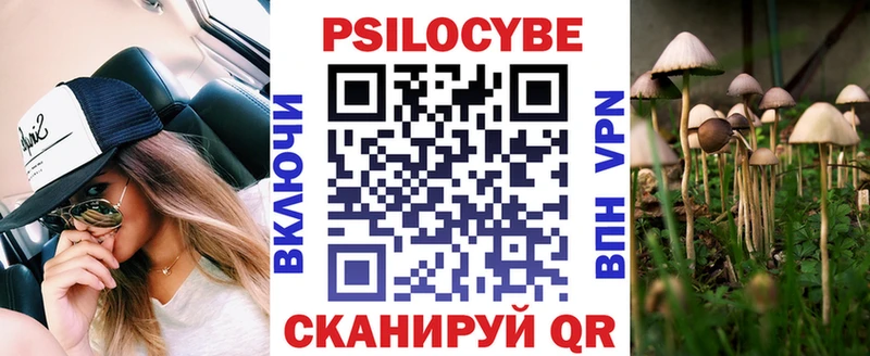 Псилоцибиновые грибы GOLDEN TEACHER Беломорск